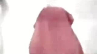Vīrietis ir labi kopts kuce starp slaukšanas un seksa video online cum viņas muti