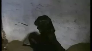 Atvelk no baseina skinn seksavideo e