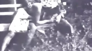 Samezgloties, ragazza erotiski video Meitene Izjādes Gailis Ar Brillēm numurā